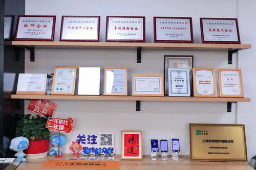 创新发展看杨浦 思伟软件深耕工业软件，让每方混凝土都闪耀科技之光